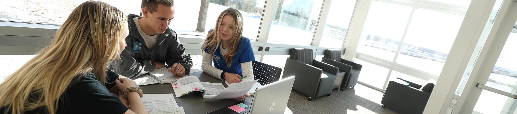 Students in sunny study area